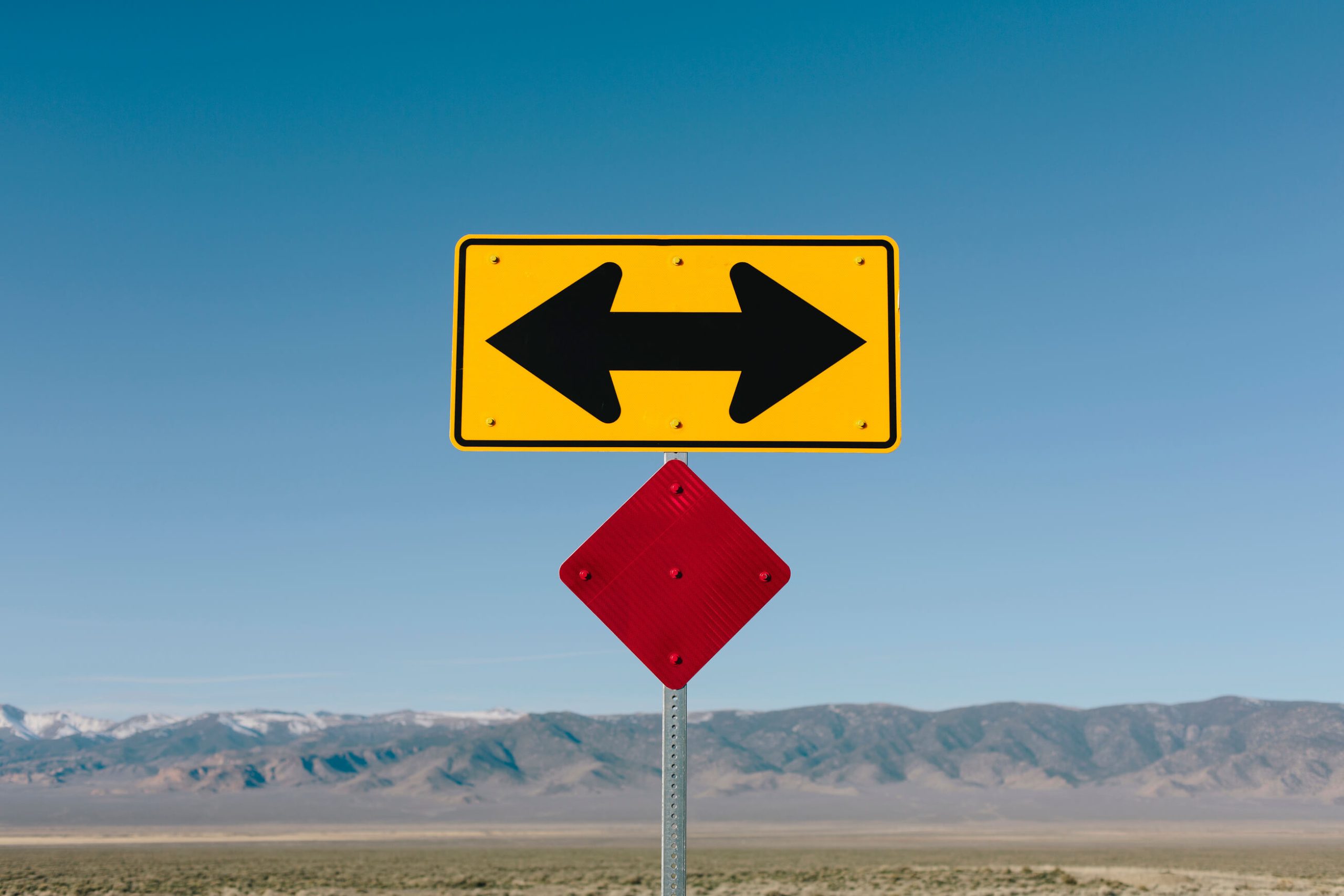 Comment choisir entre Google Ads et le SEO?